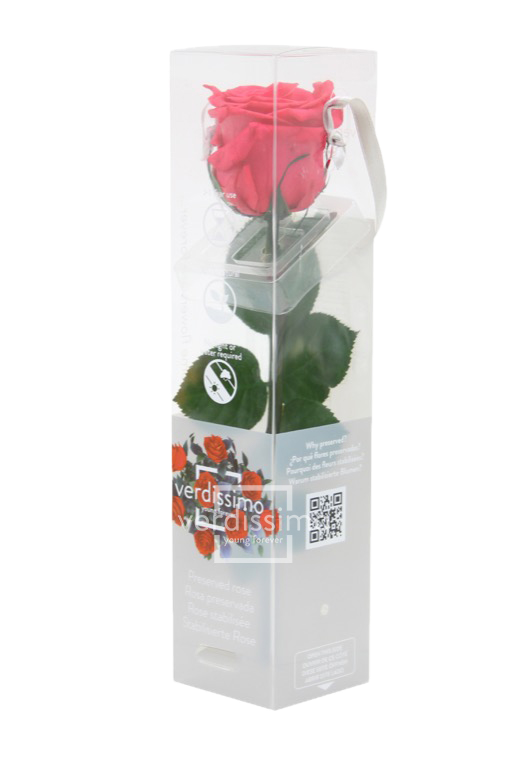 Mini rose stabilisée PRZ/2490