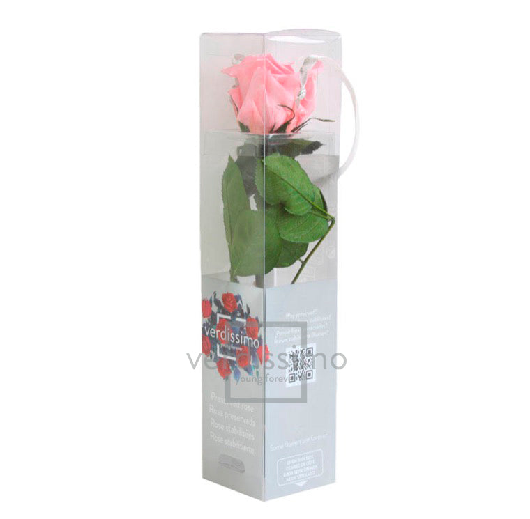 Mini rose stabilisée PRZ/2420