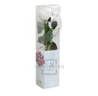 Mini rose stabilisée PRZ/2000
