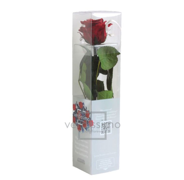 Mini rose stabilisée PRZ/2800