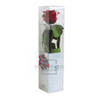 Mini rose stabilisée PRZ/2800