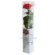 Rose stabilisée premium PRZ/7200