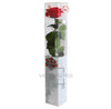 Rose stabilisée premium PRZ/7200