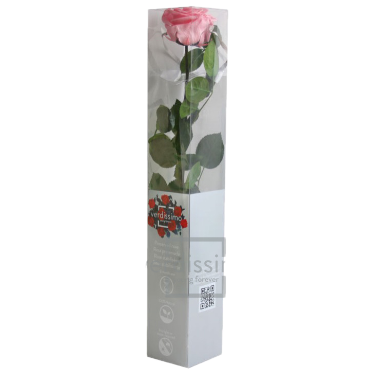 Rose stabilisée premium PRZ/7420
