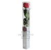 Rose stabilisée PRZ/1200