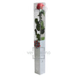 Rose stabilisée PRZ/1490