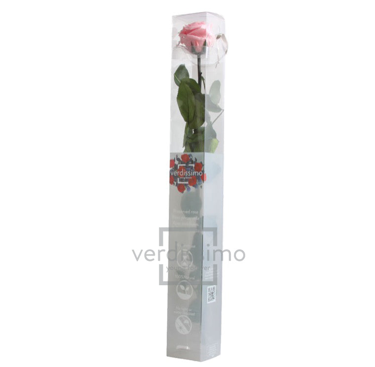 Rose stabilisée PRZ/1420