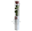 Rose stabilisée PRZ/1800