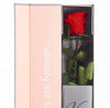 Rose stabilisée premium+ VRS/1200F
