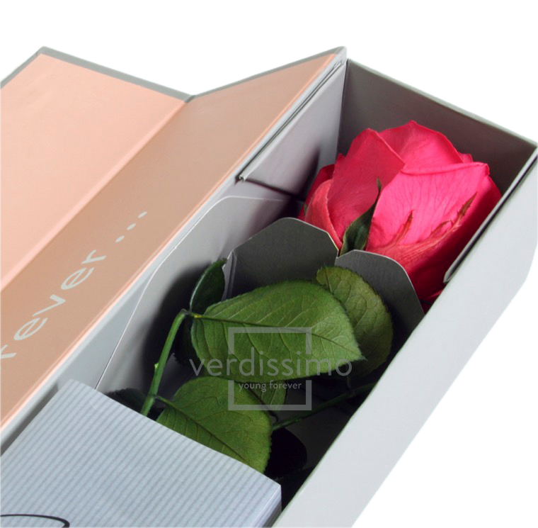 Rose stabilisée premium+ VRS/1490F