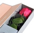 Rose stabilisée premium+ VRS/1490F