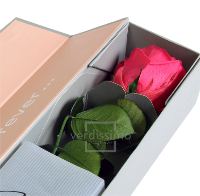 Rose stabilisée premium+ VRS/1490F