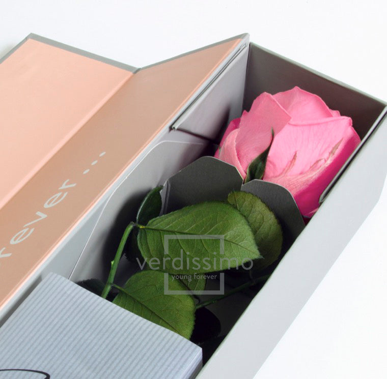 Rose stabilisée premium+ VRS/1420F