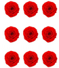 Rose stabilisée x9 428 INES
