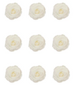 Rose stabilisée x9 426 INES