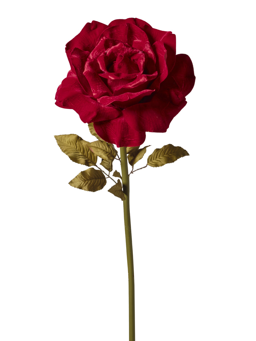 Rose velours 1NPD83-253