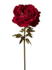 Pivoine velours 1NPD79-253