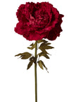 Pivoine velours 1NPD78-253