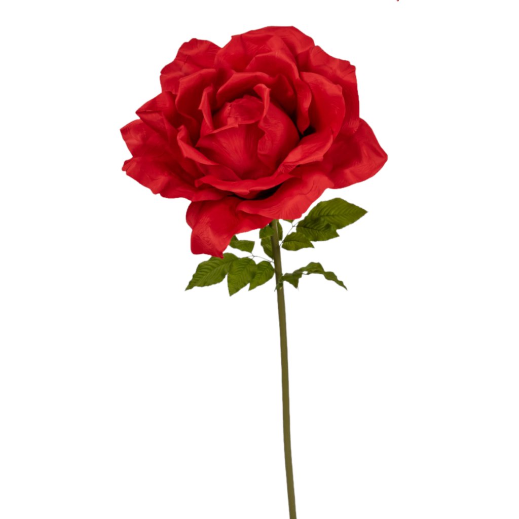 Rose rouge XL FW0130R