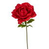 Rose rouge XL FW0130R