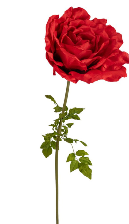Rose rouge XXL FW0131R