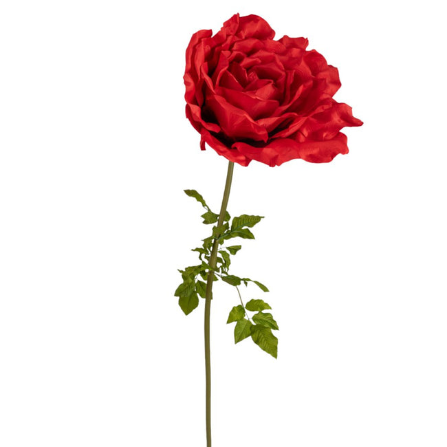 Rose rouge XXL FW0131R