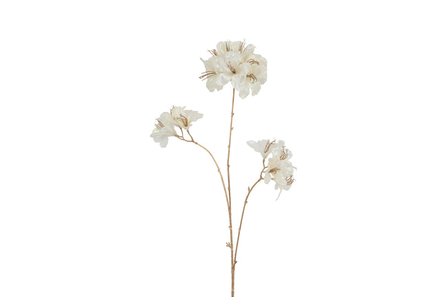 Tige de azalea