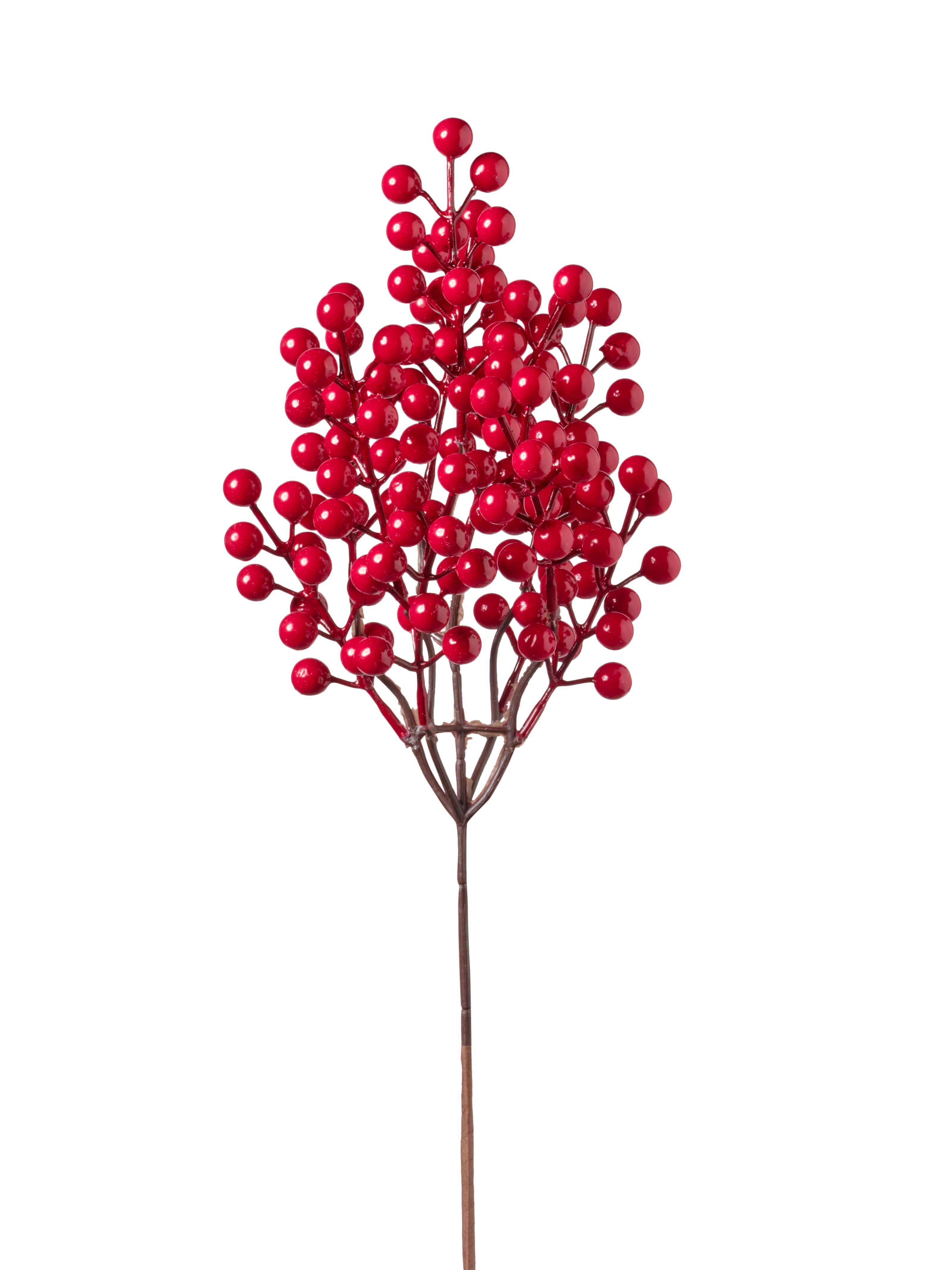 Tige de baies rouge