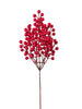 Tige de baies rouge