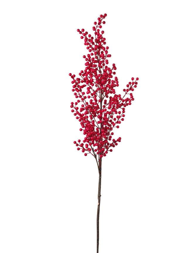 Tige de baies rouge