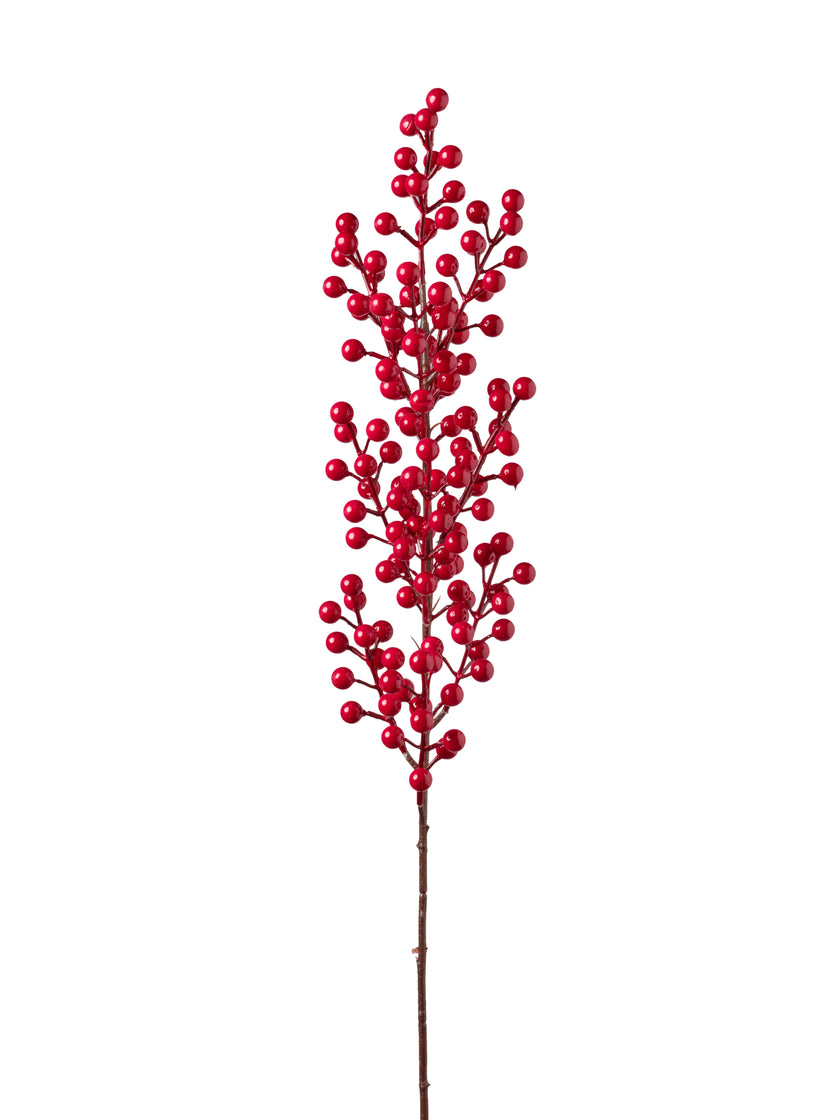Tige de baies rouge