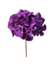Tige de hydrangea