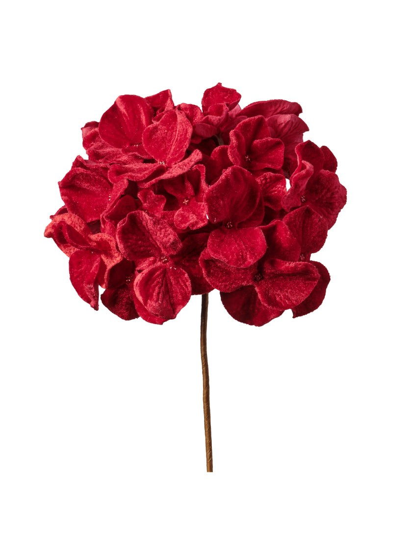 Tige de hydrangea