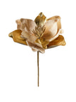 Tige de magnolia Beige