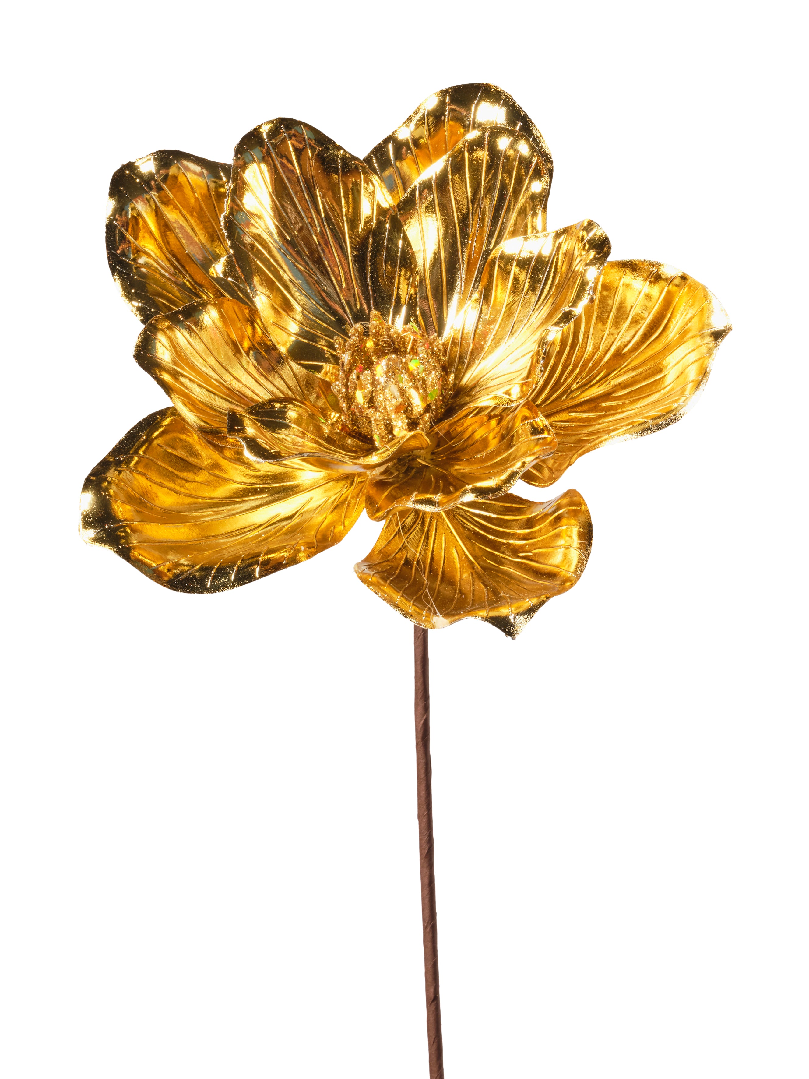 Tige de magnolia brillant