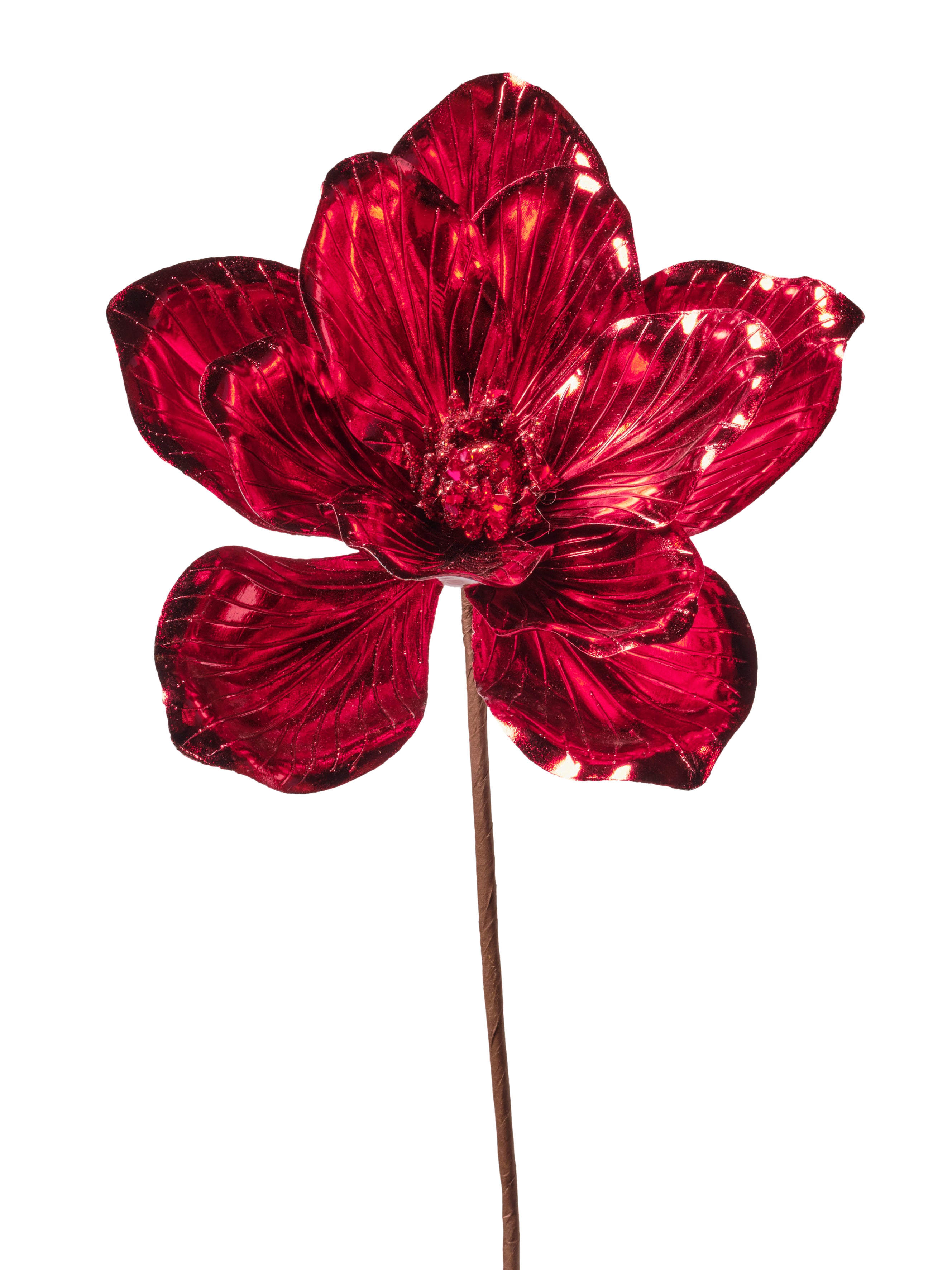 Tige de magnolia brillant