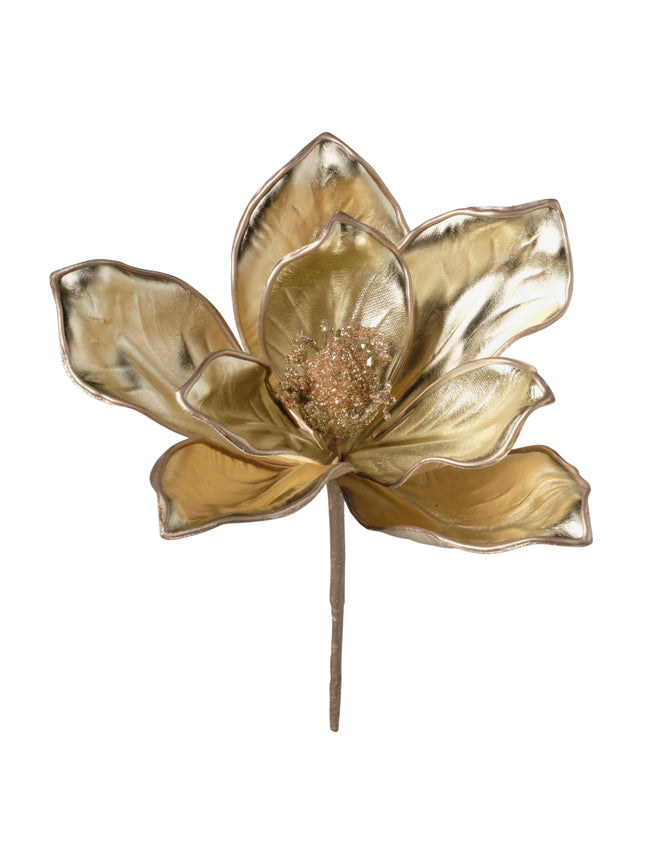 Tige de magnolia champagne