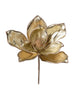 Tige de magnolia champagne