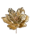 Tige de magnolia champagne