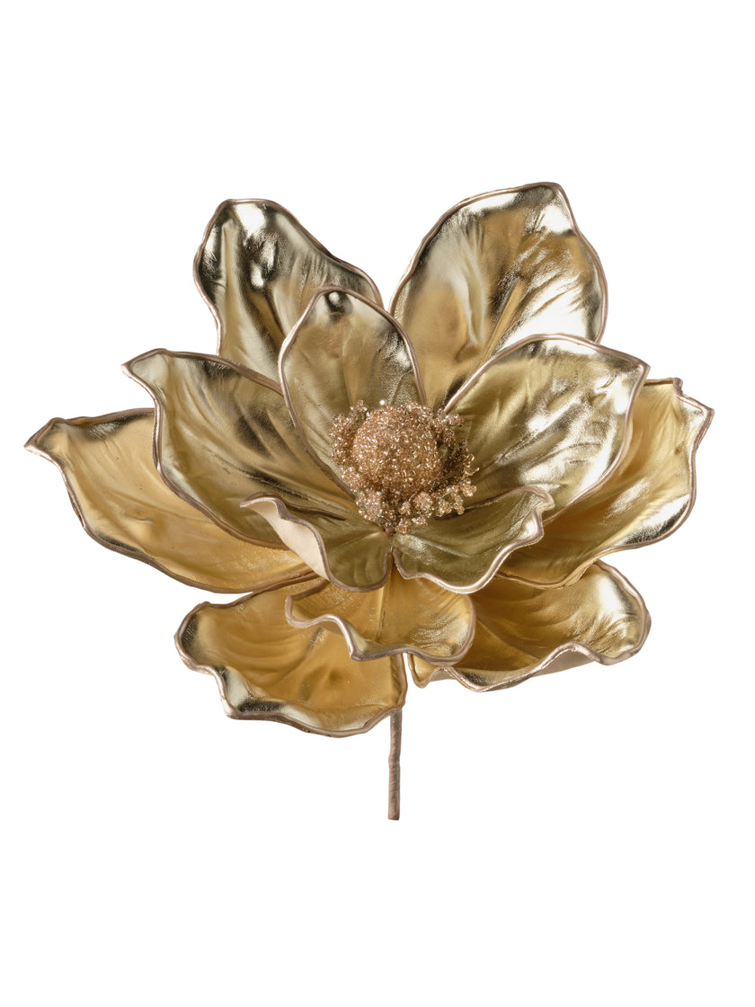 Tige de magnolia champagne