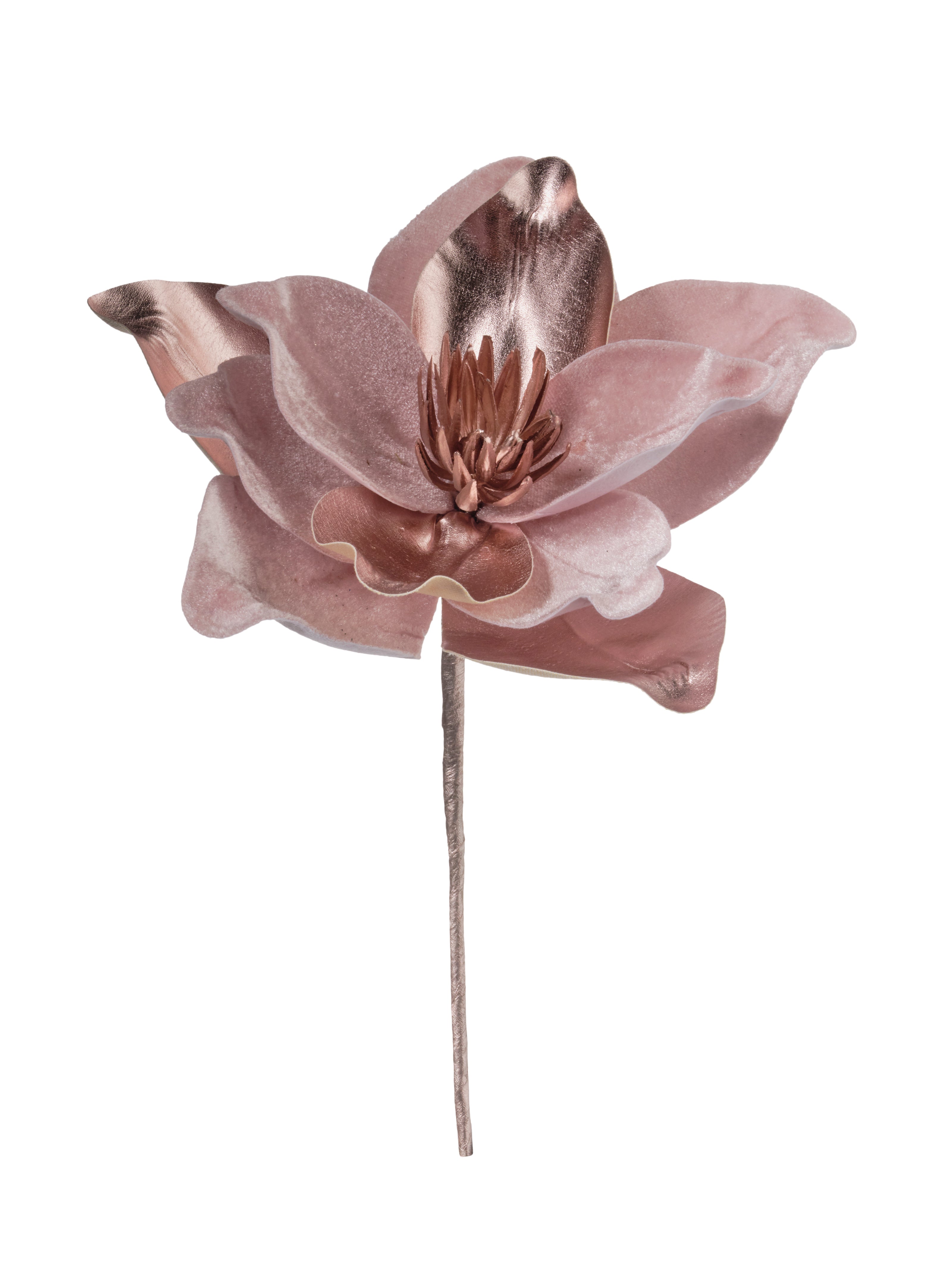 Tige de magnolia Rose