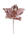 Tige de magnolia Rose