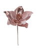 Tige de magnolia Rose