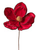 Tige de magnolia rouge