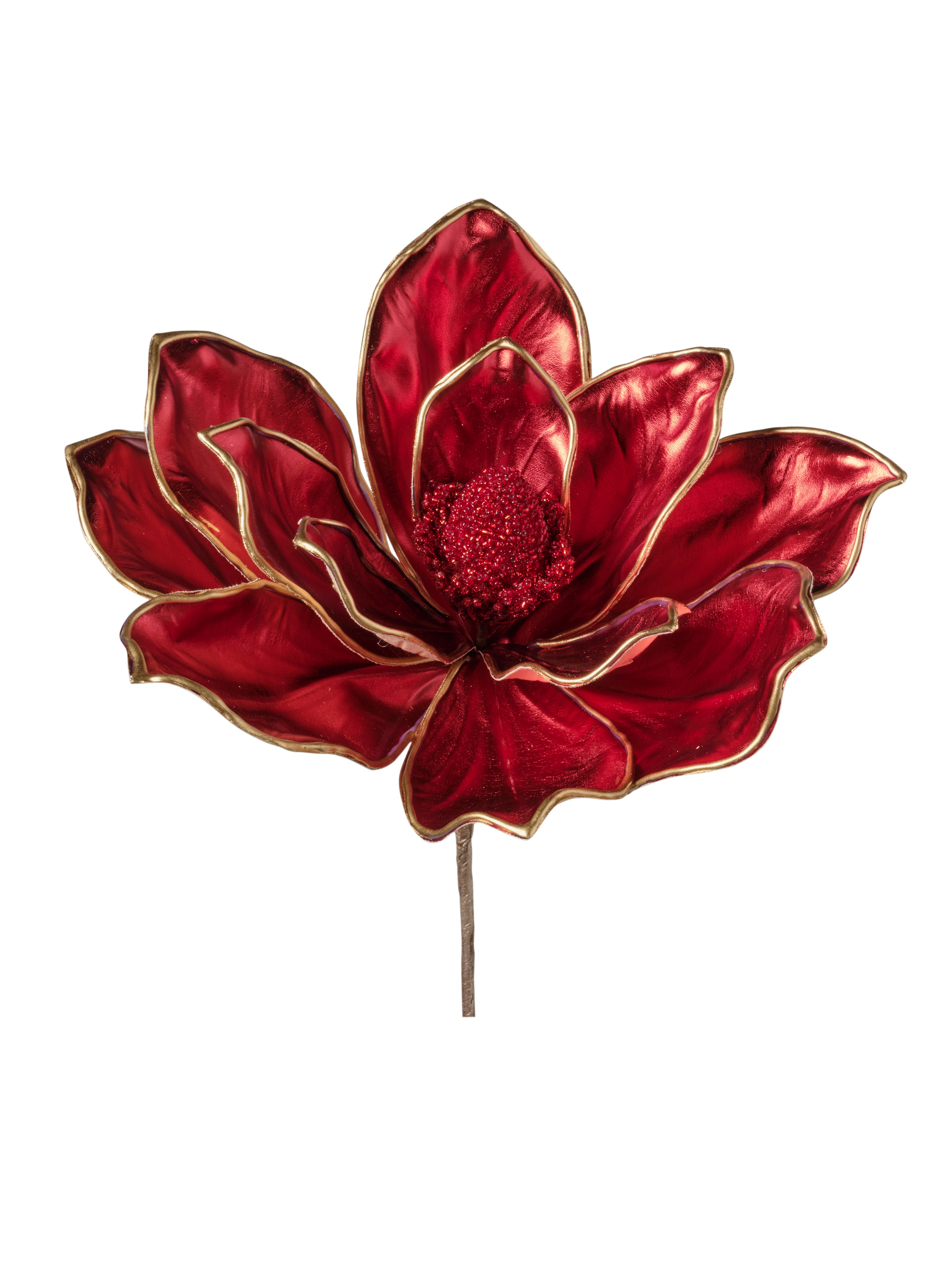Tige de magnolia rouge