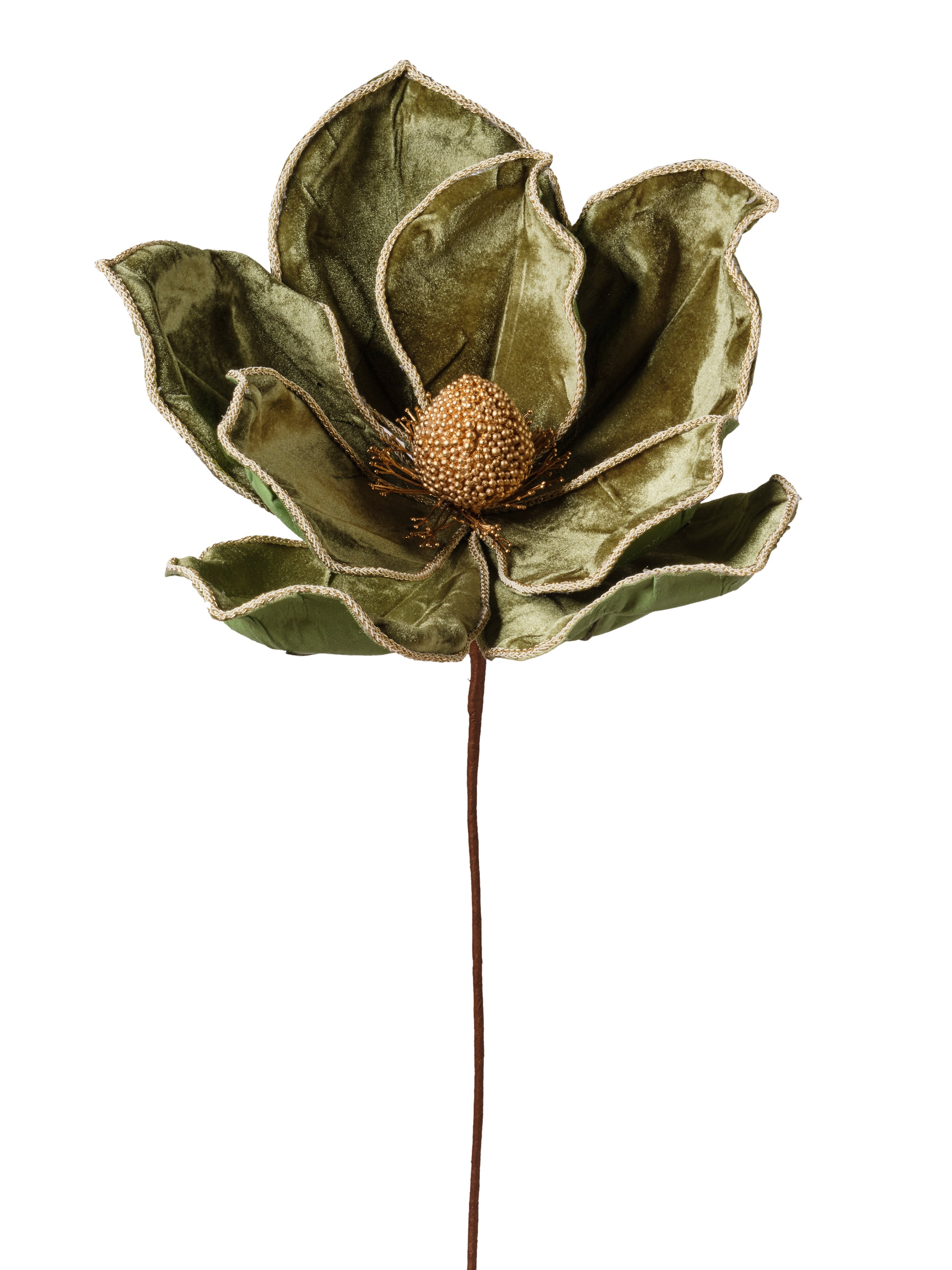 Tige de magnolia vert