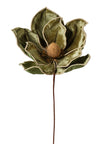 Tige de magnolia vert
