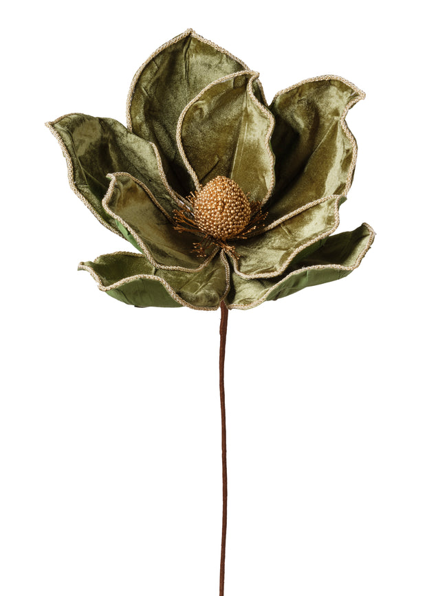 Tige de magnolia vert