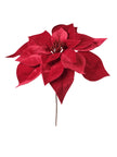 Tige de poinsettia
