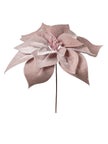 Tige de poinsettia